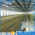 chicken cage, laying battery hens cage, poultry farming equipment